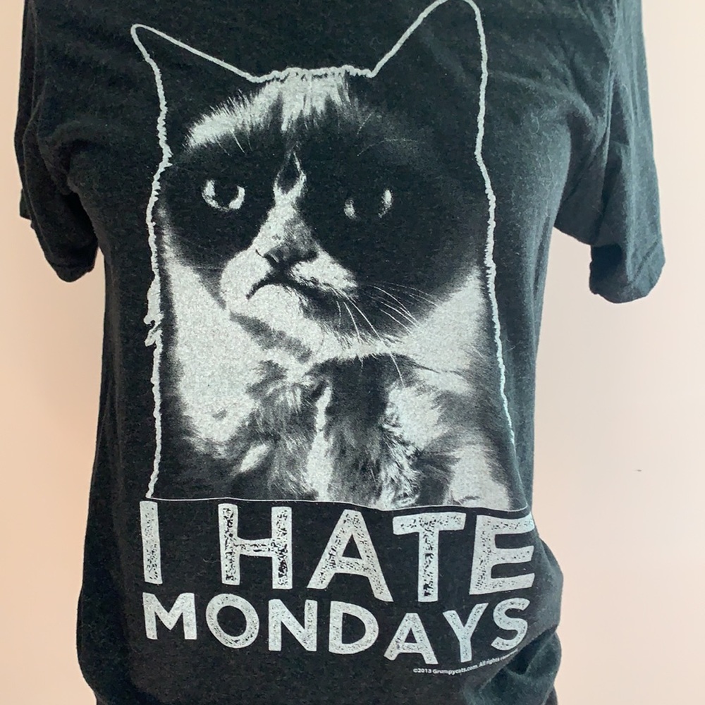 Grumpy Cat “I Hate Mondays” - image 2